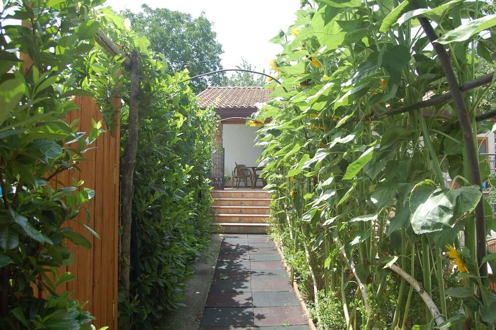 Vista del exterior