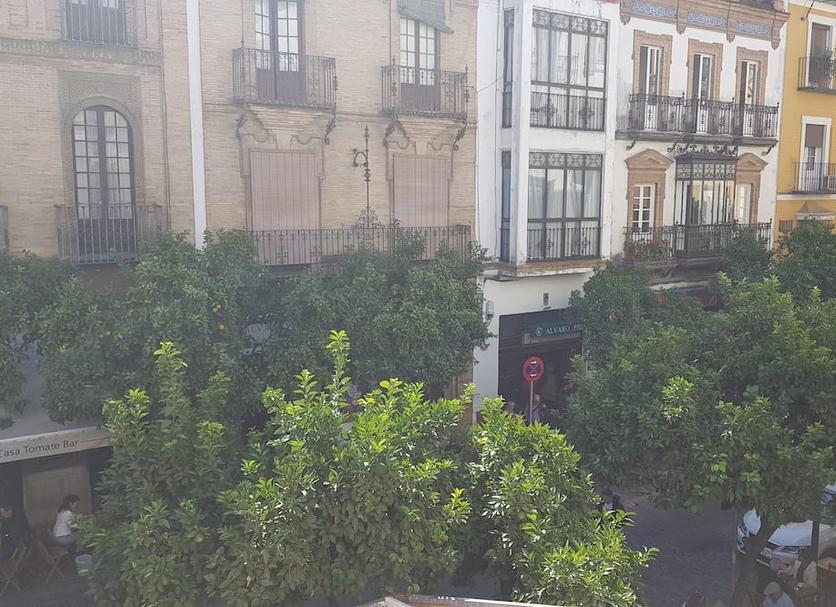 Vista del exterior Foto