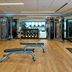 Gimnasio
