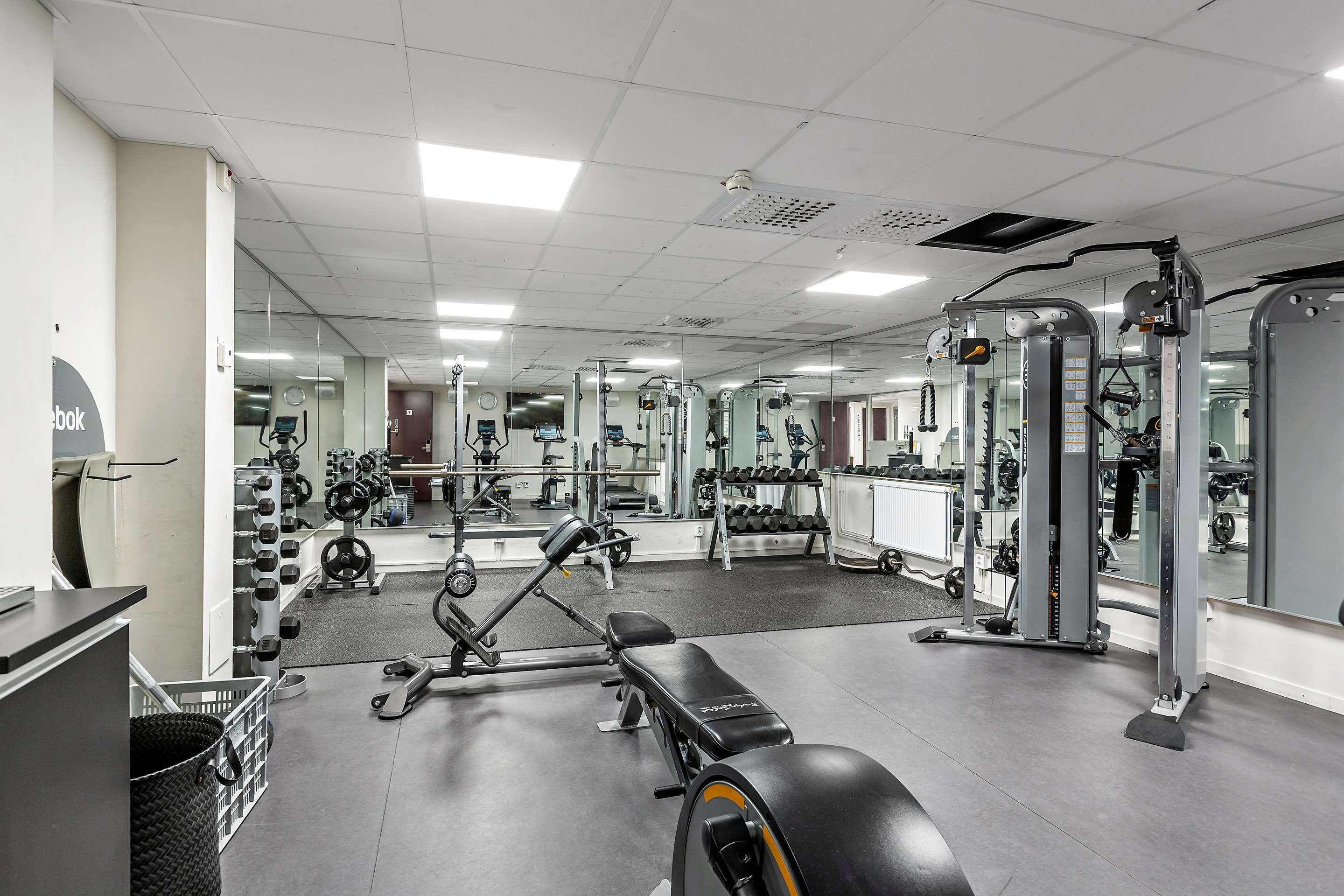 Gimnasio
