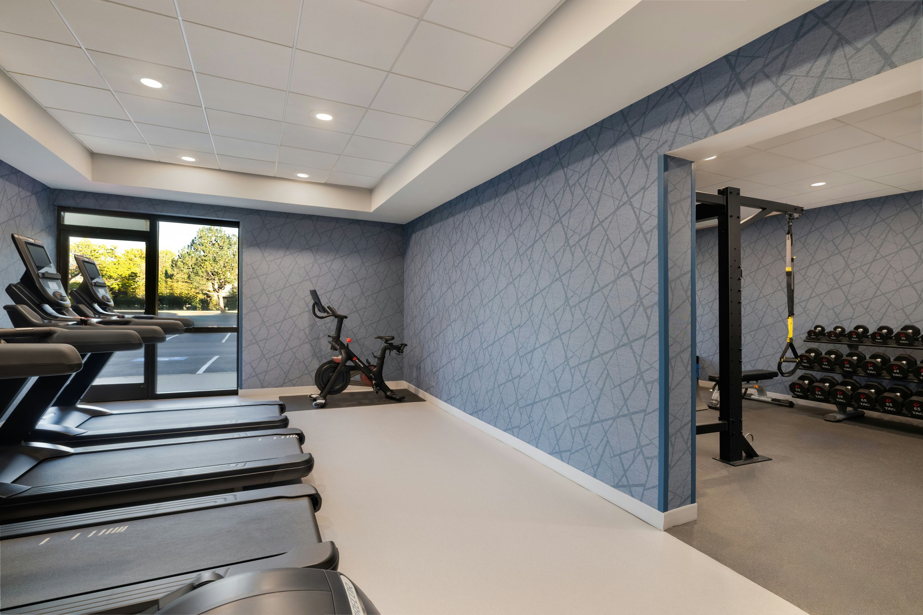 Gimnasio