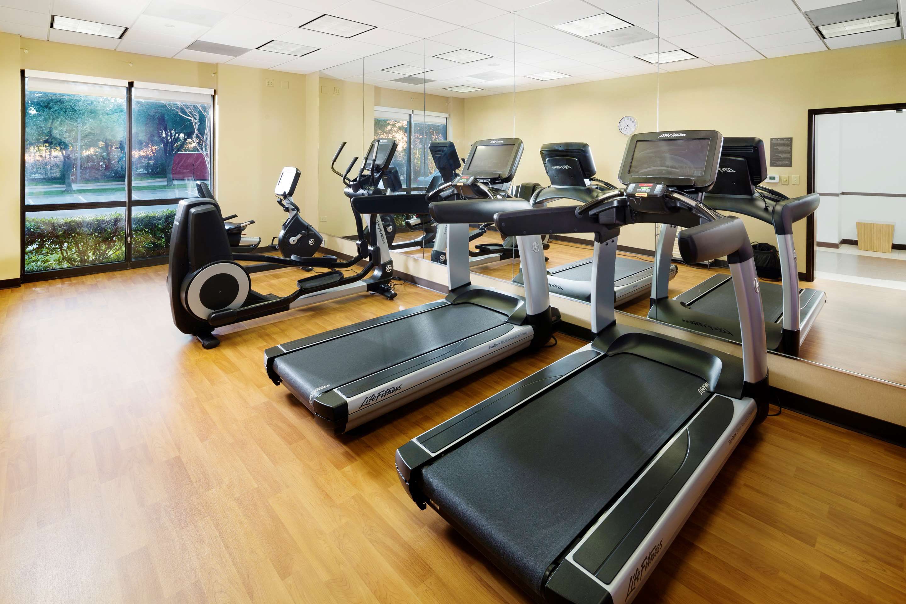 Gimnasio