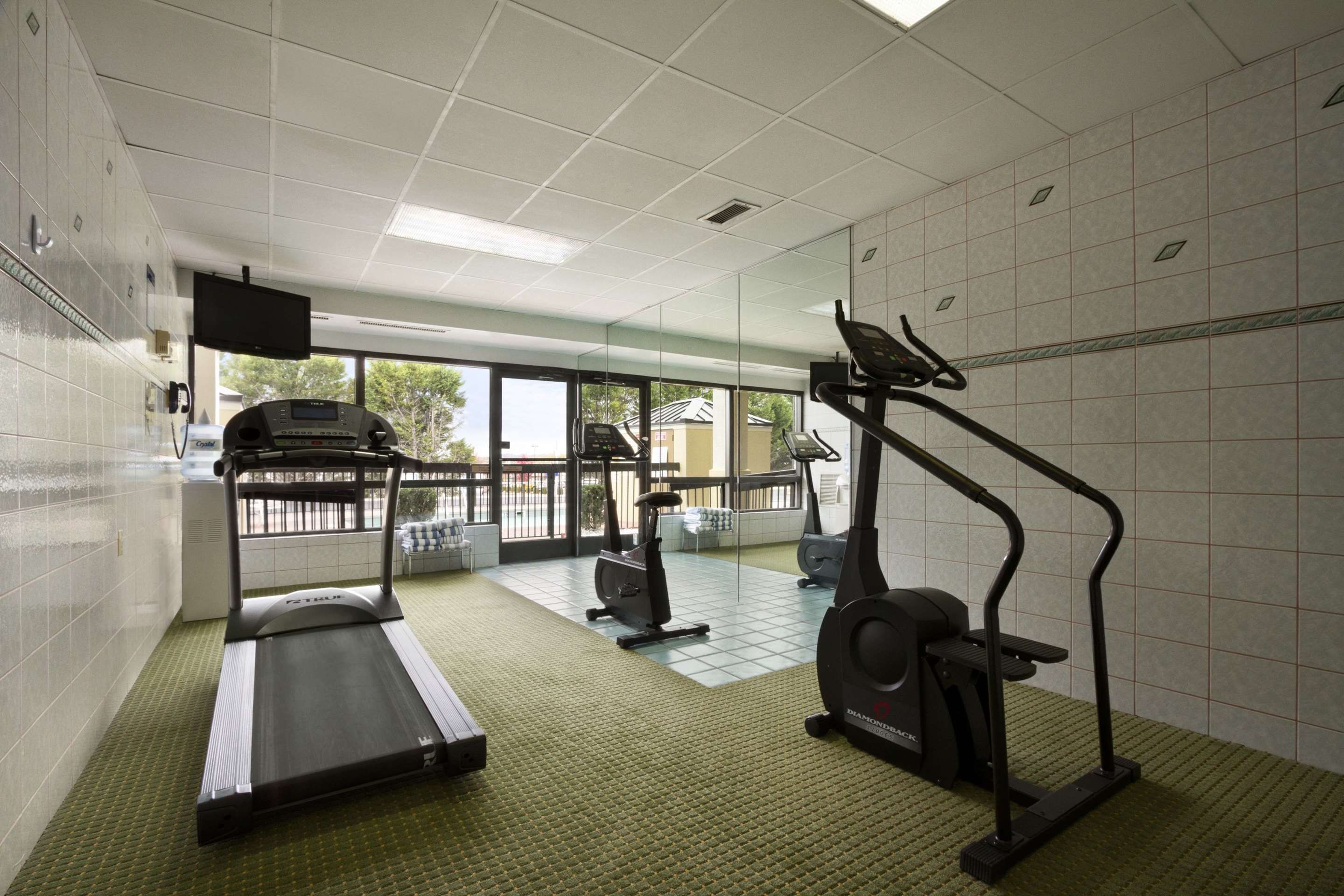 Gimnasio