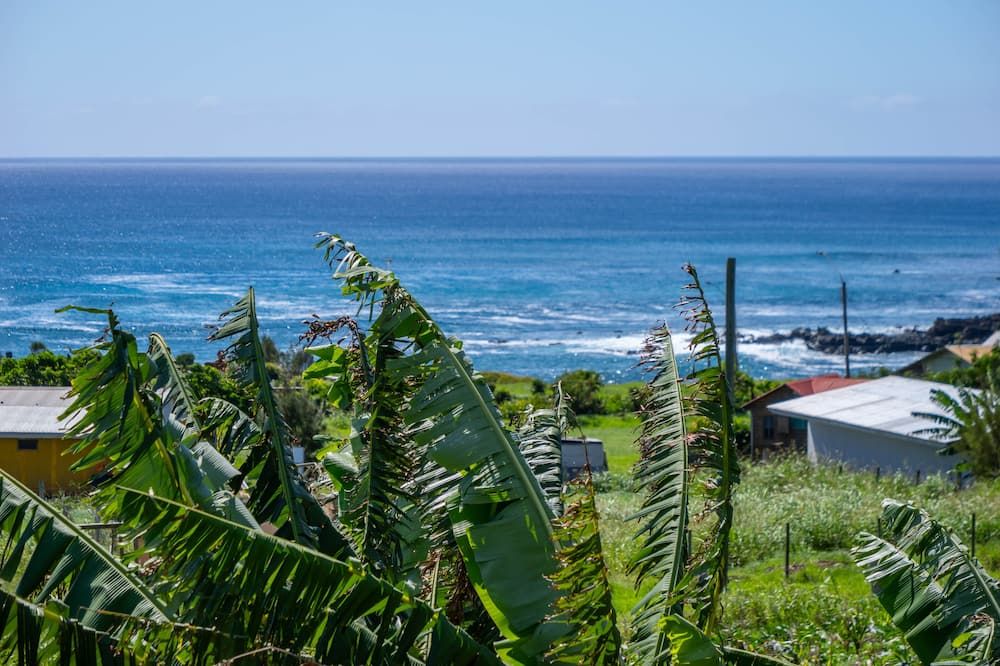 Vista del exterior