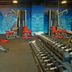 Gimnasio