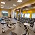 Gimnasio