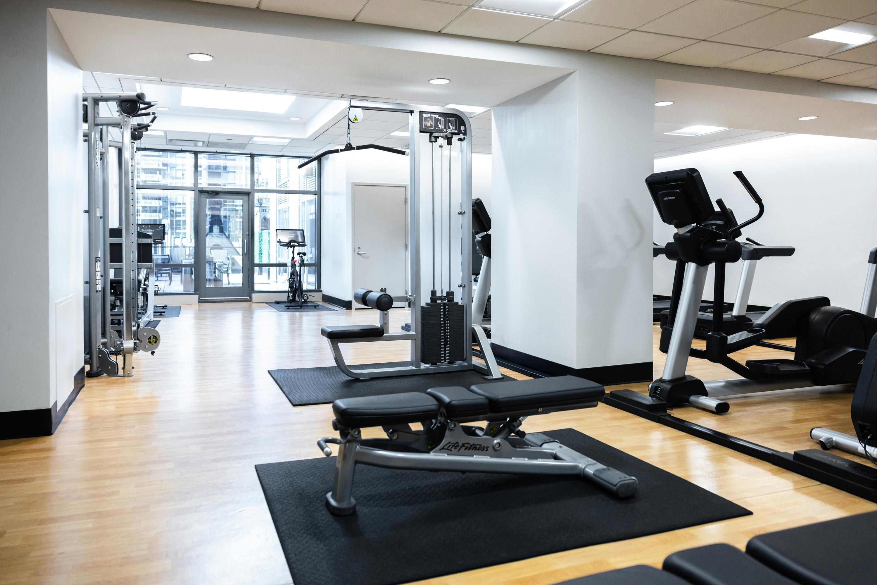 Gimnasio