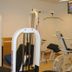Gimnasio
