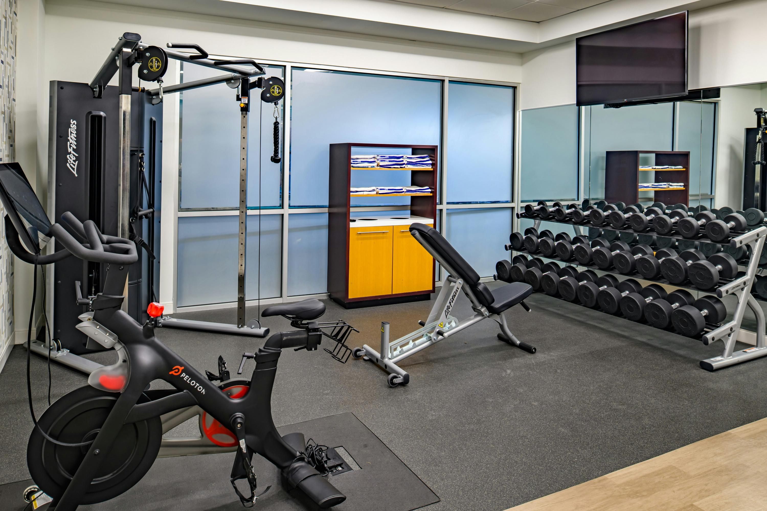 Gimnasio
