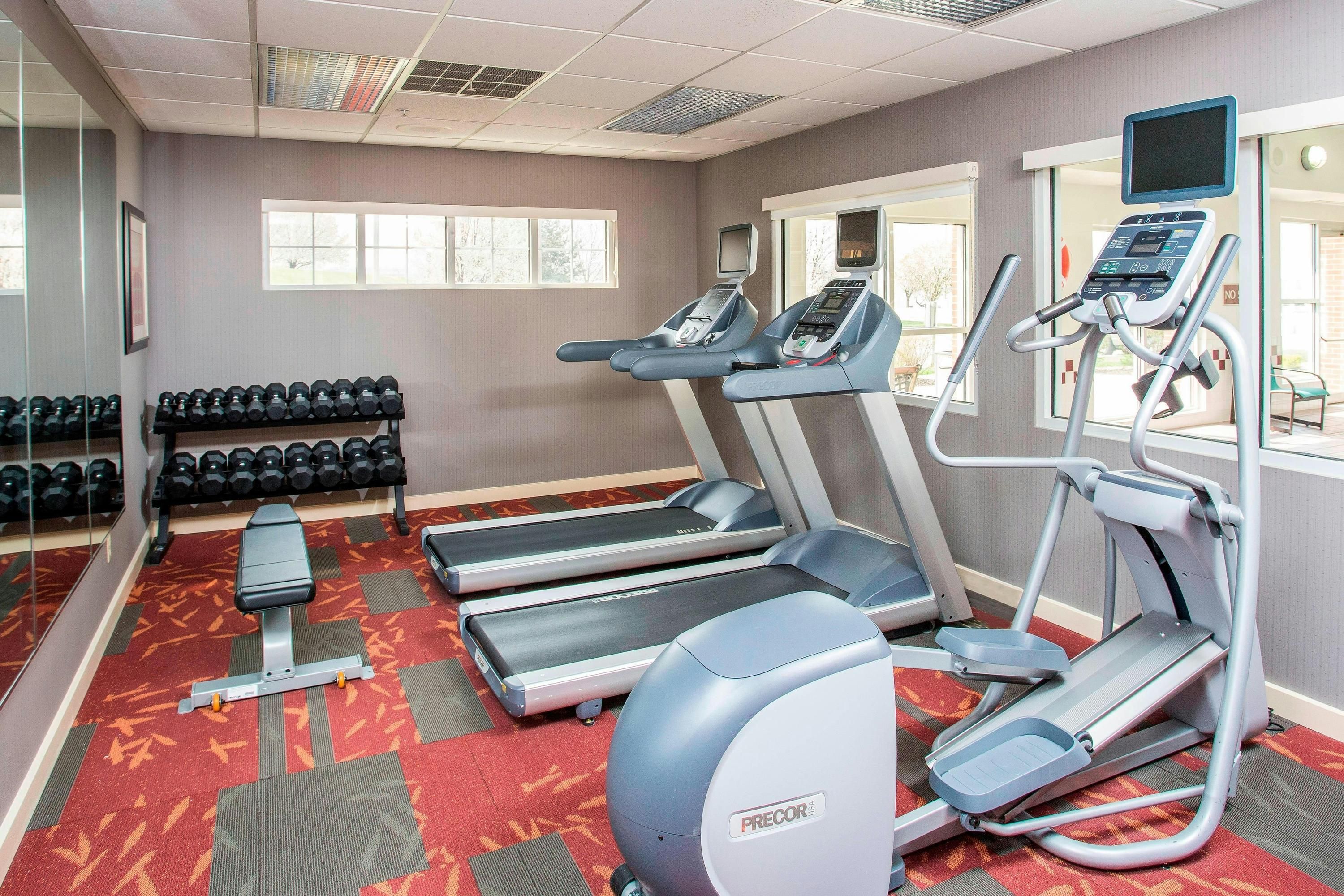 Gimnasio