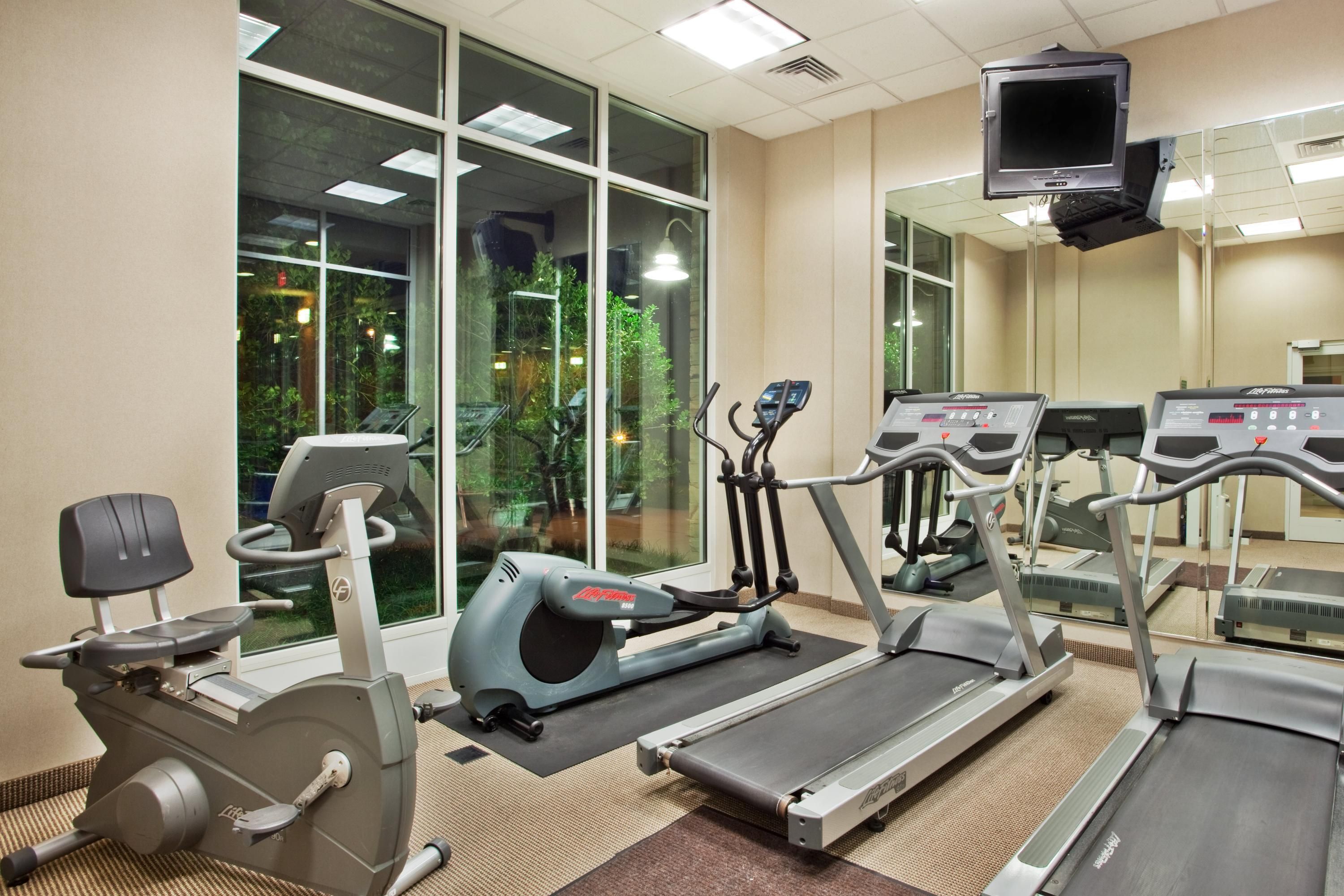 Gimnasio
