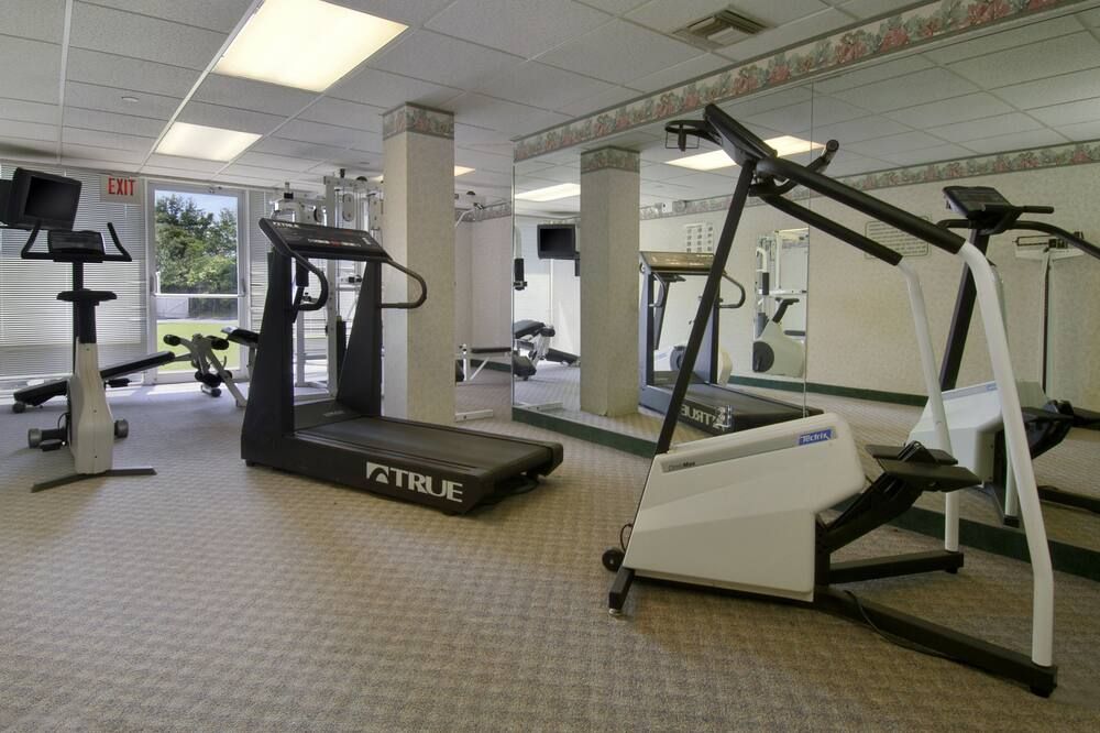 Gimnasio