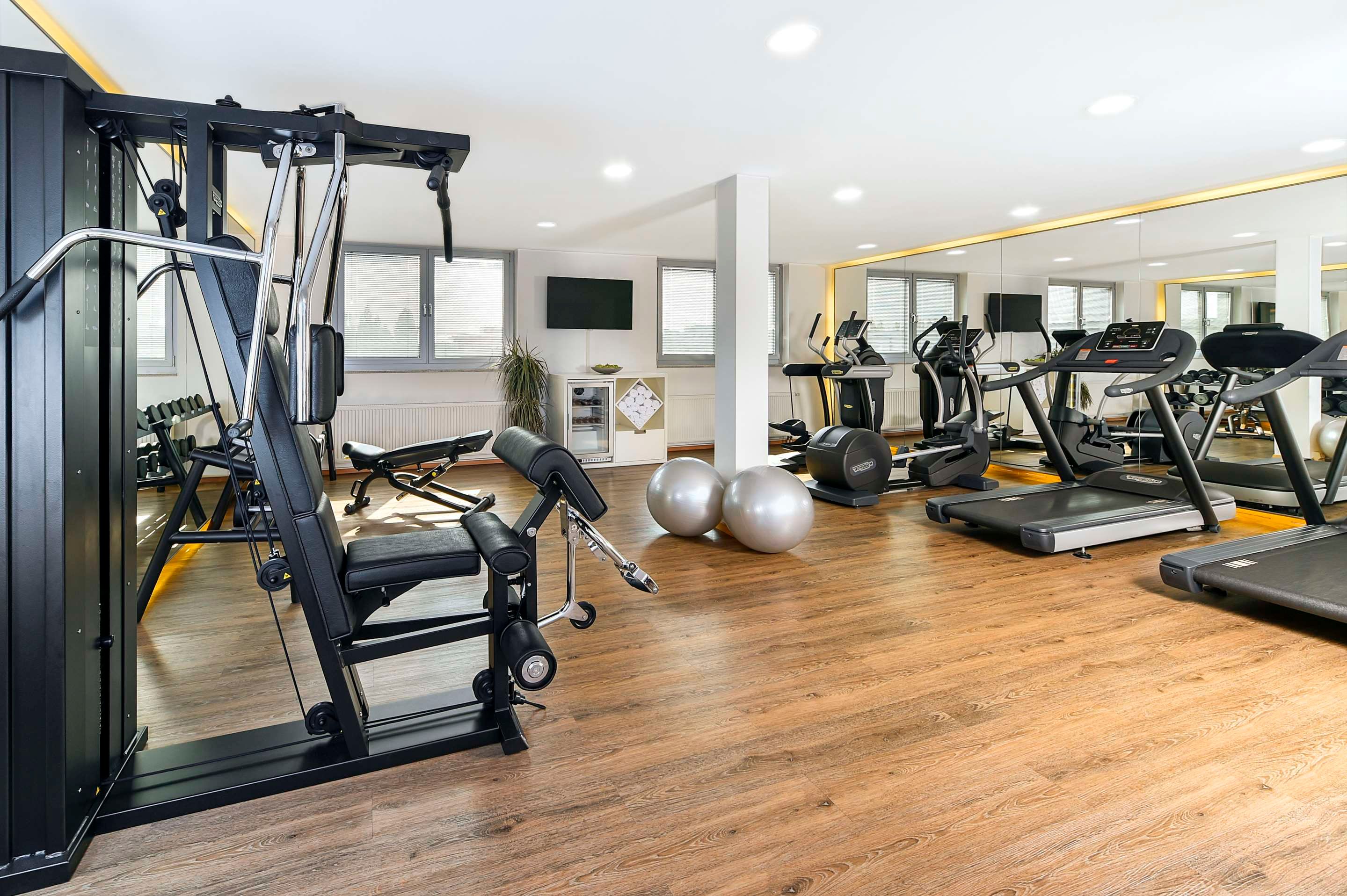 Gimnasio