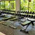 Gimnasio