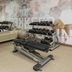 Gimnasio