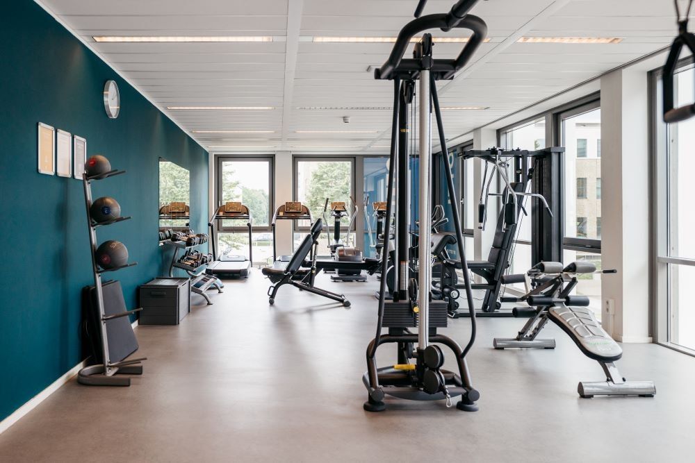 Gimnasio