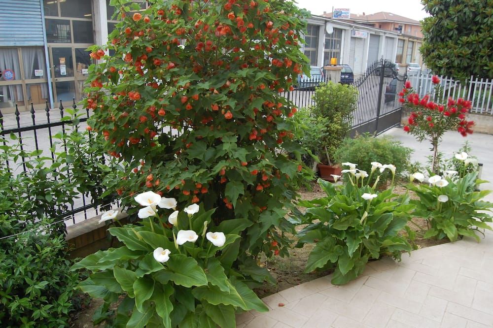 Vista del exterior