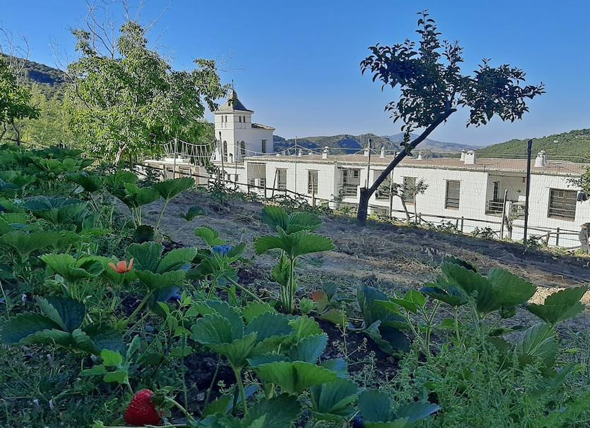 Vista del exterior Foto