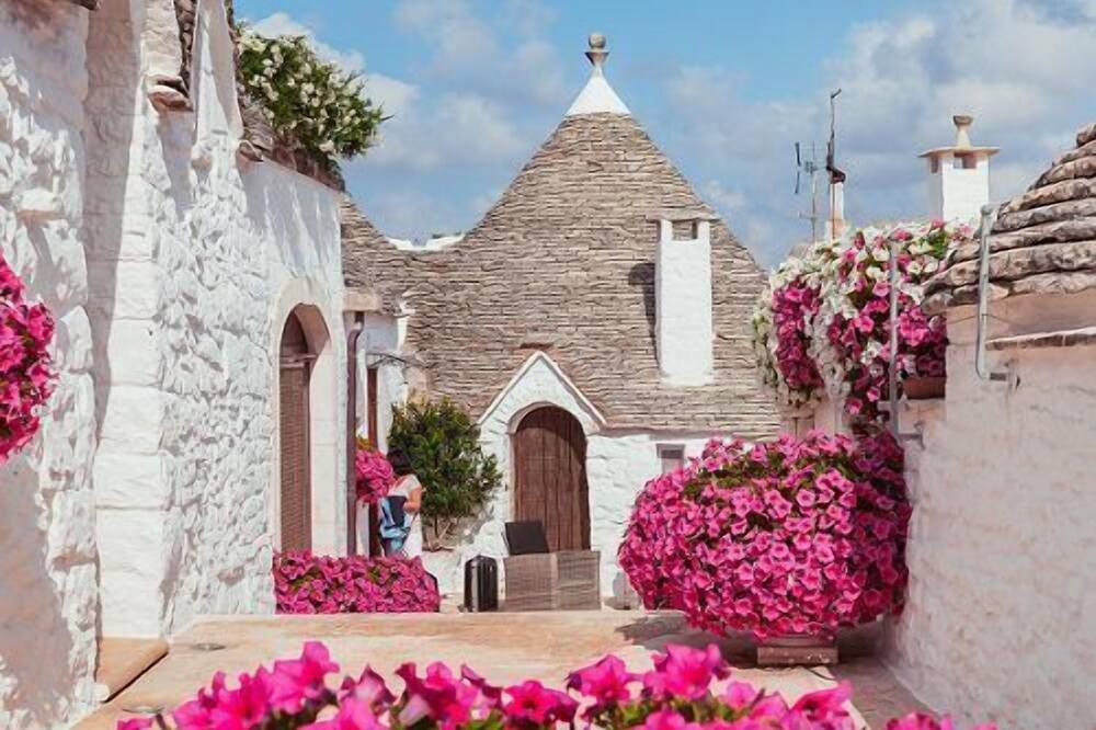 Vista del exterior
