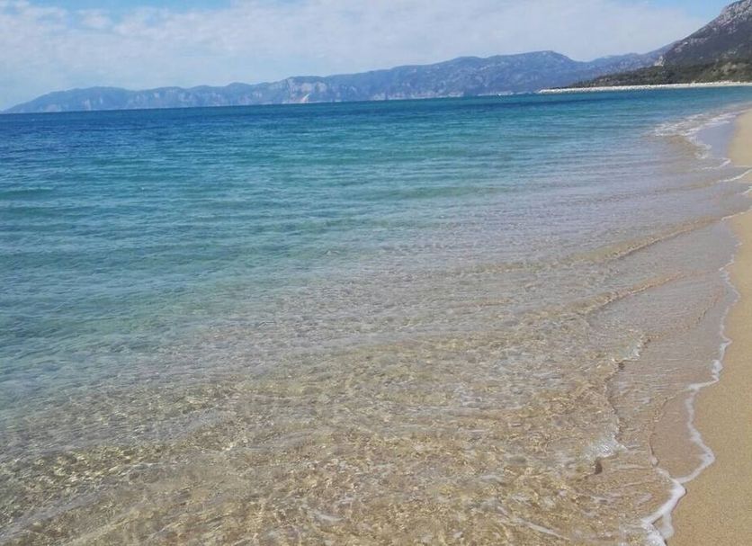 Playa Foto