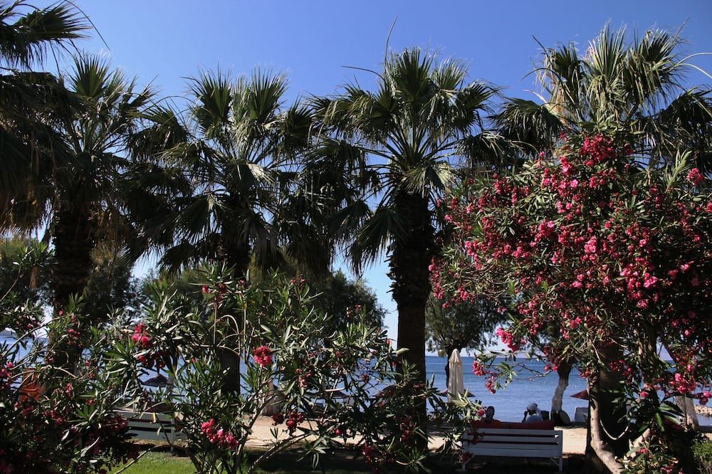 Vista del exterior