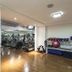 Gimnasio