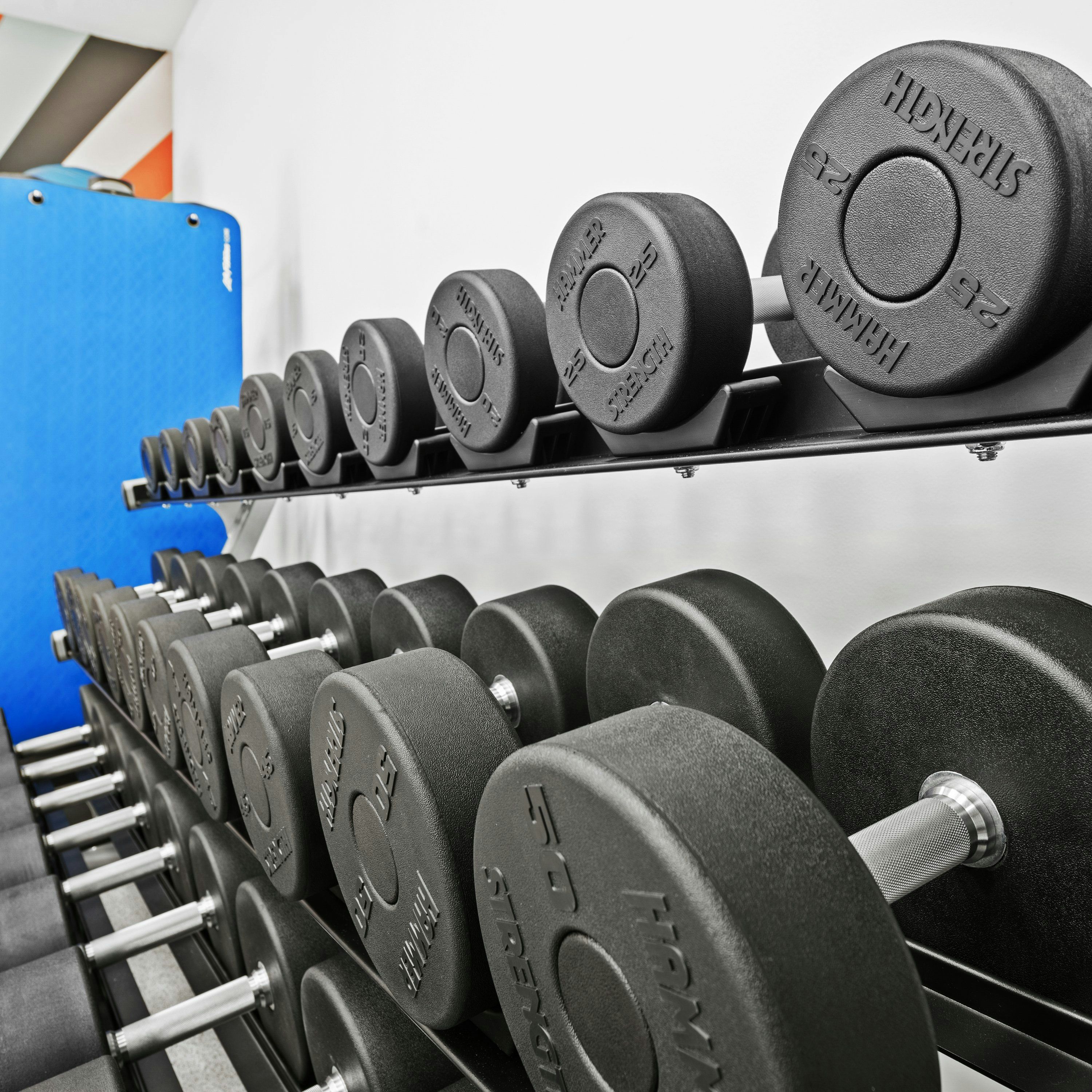 Gimnasio
