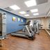 Gimnasio