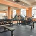 Gimnasio