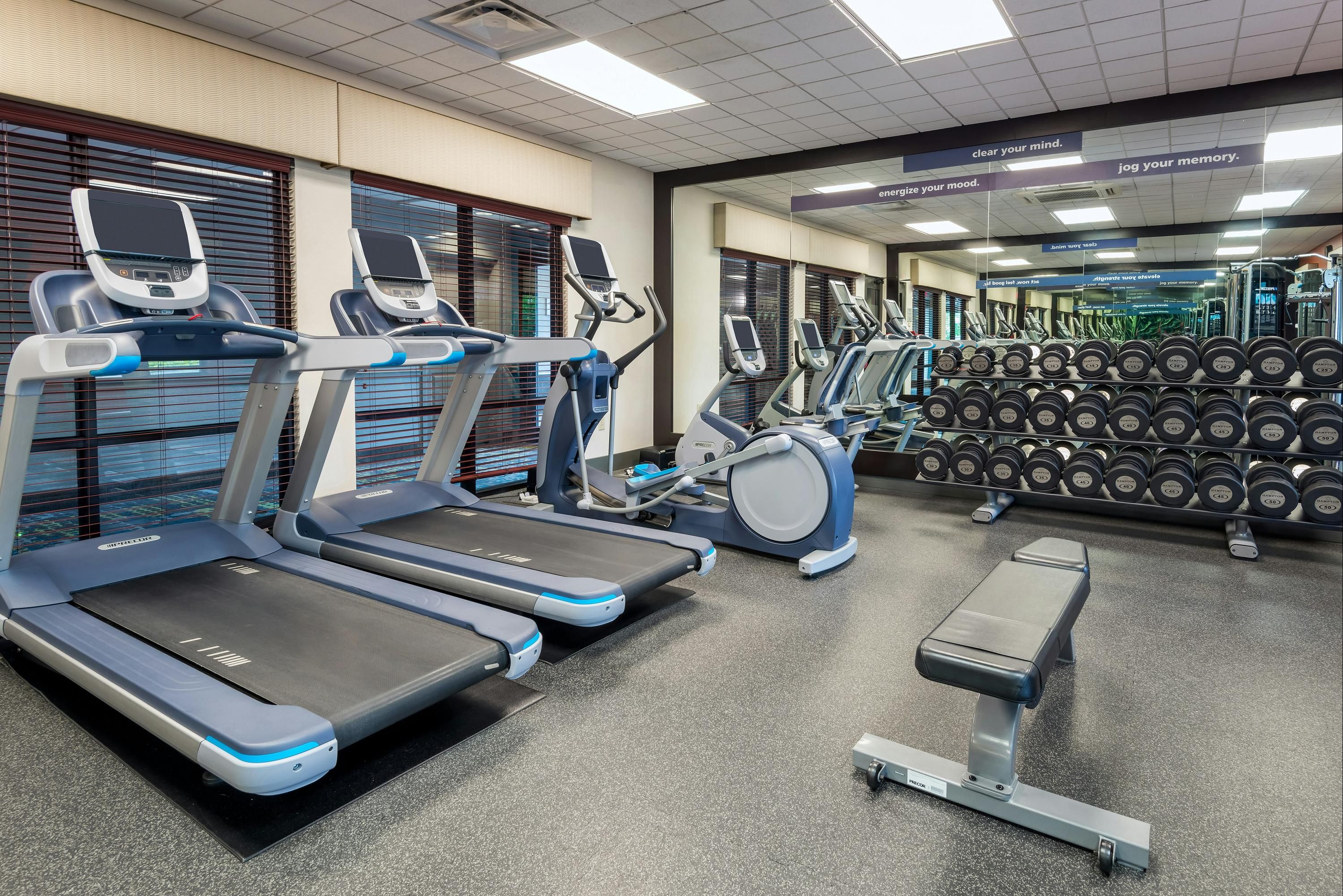 Gimnasio