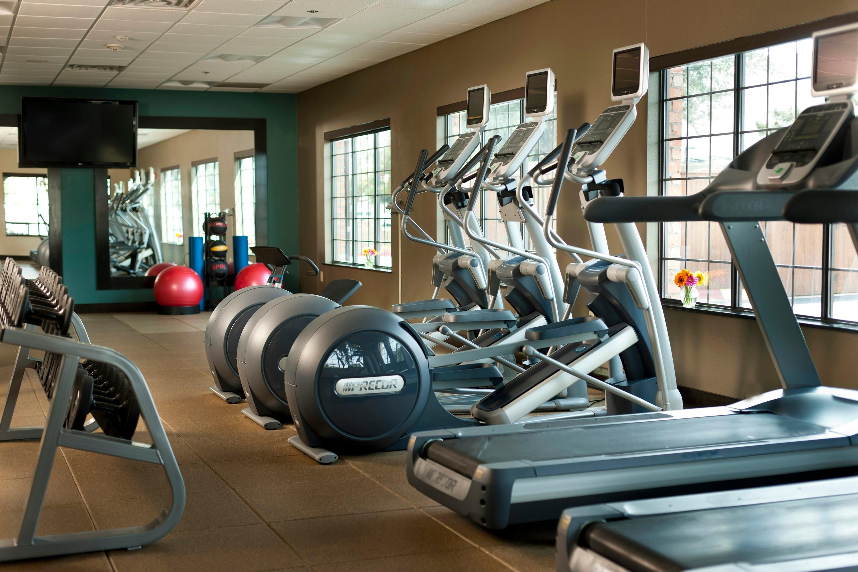 Gimnasio