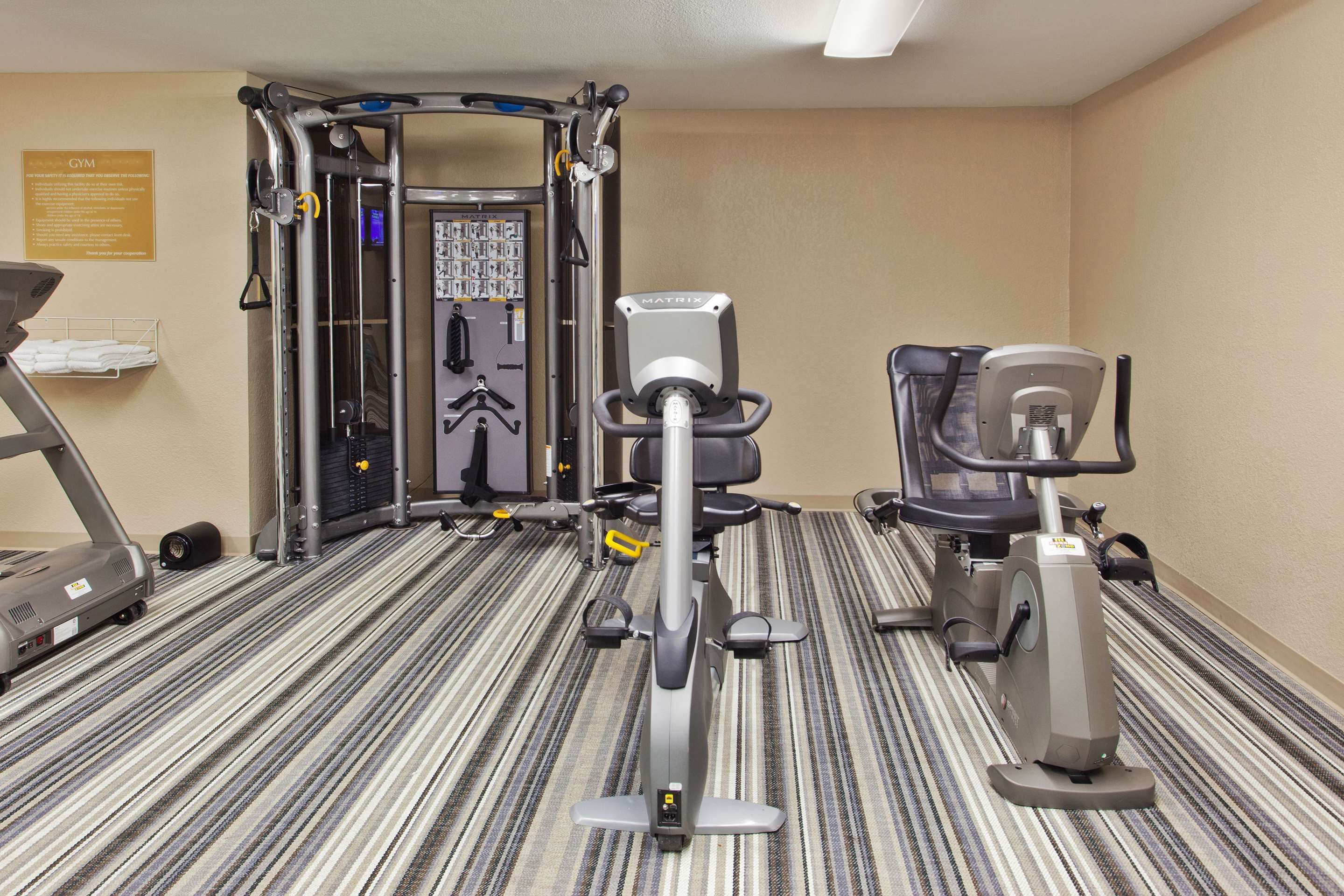 Gimnasio