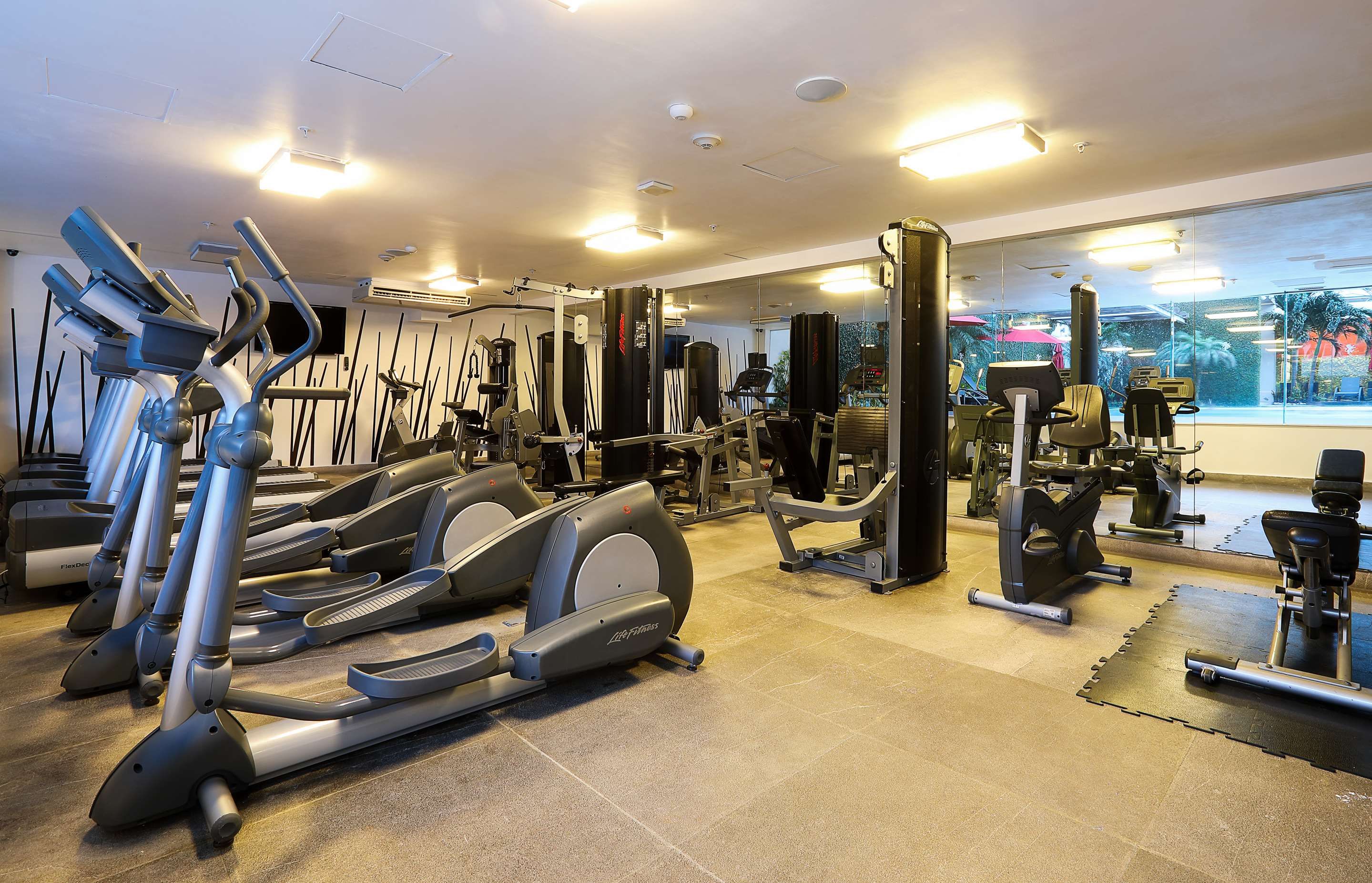 Gimnasio