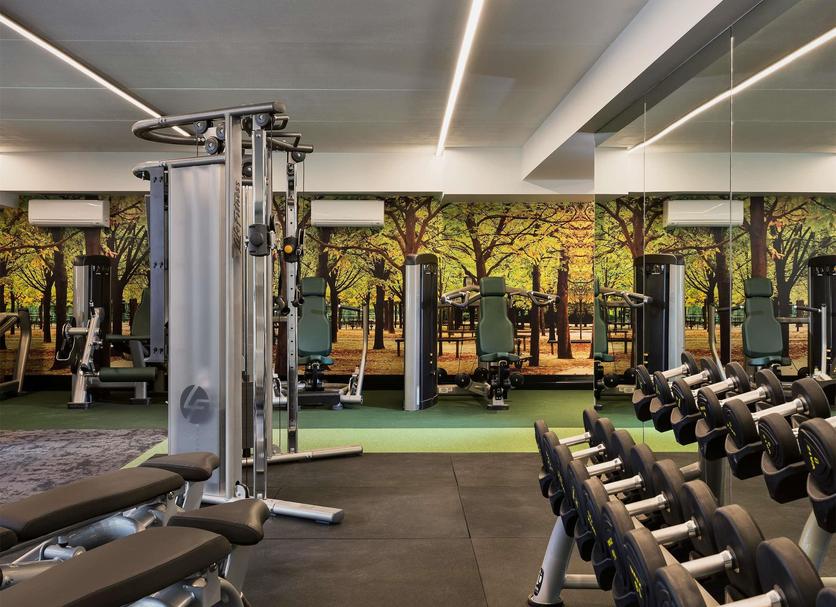 Gimnasio Foto