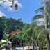 Vista del exterior