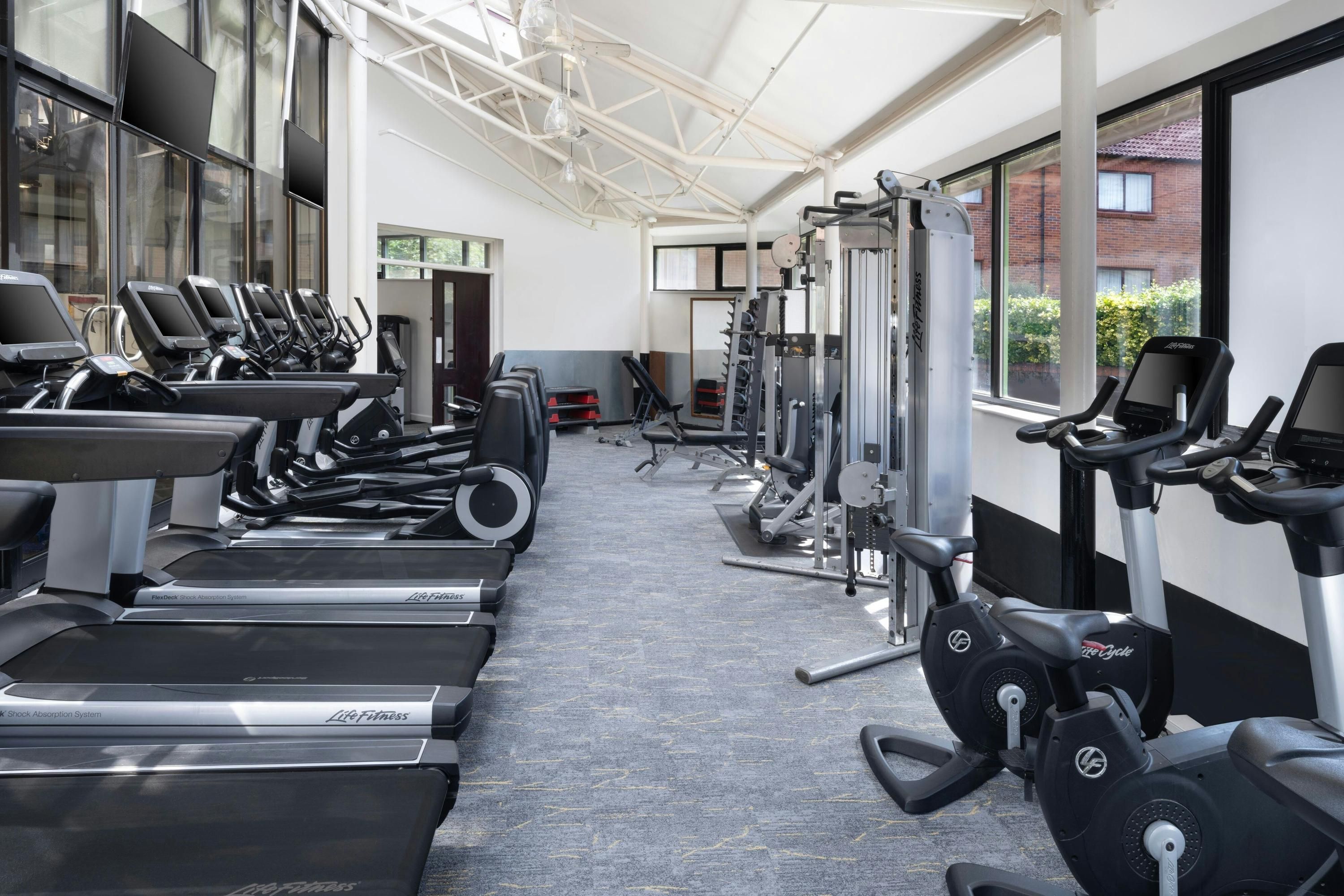 Gimnasio