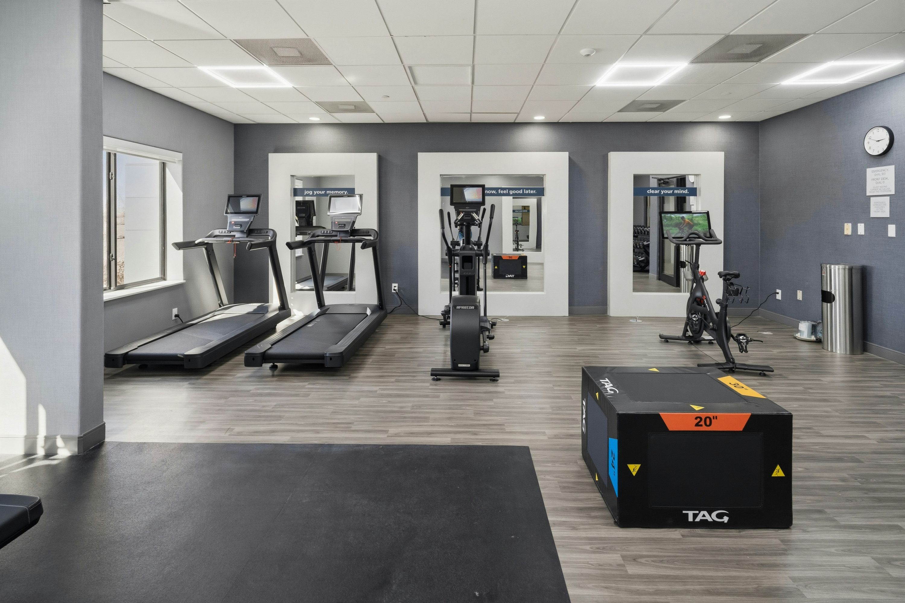 Gimnasio