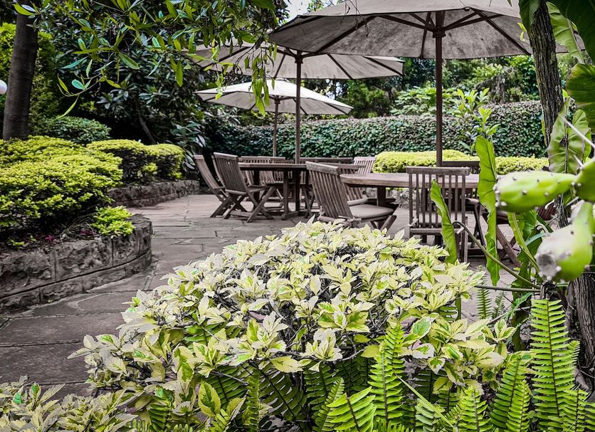Patio Foto