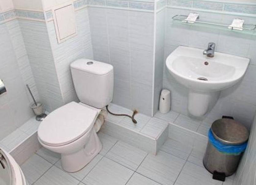 Baño Foto