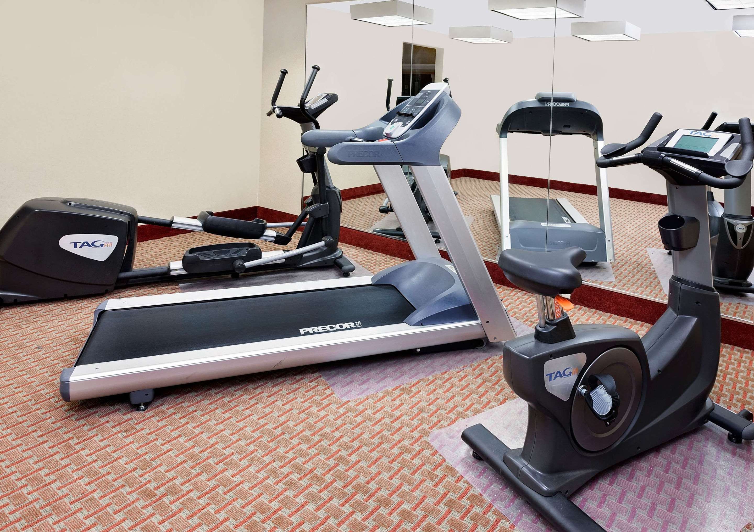 Gimnasio