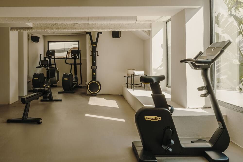 Gimnasio