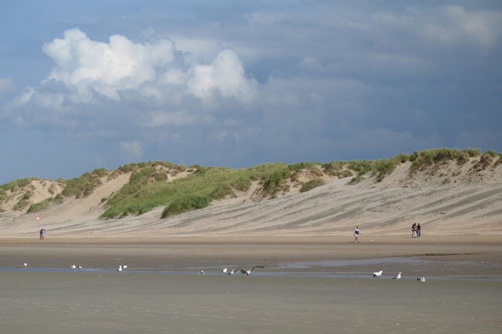 Playa