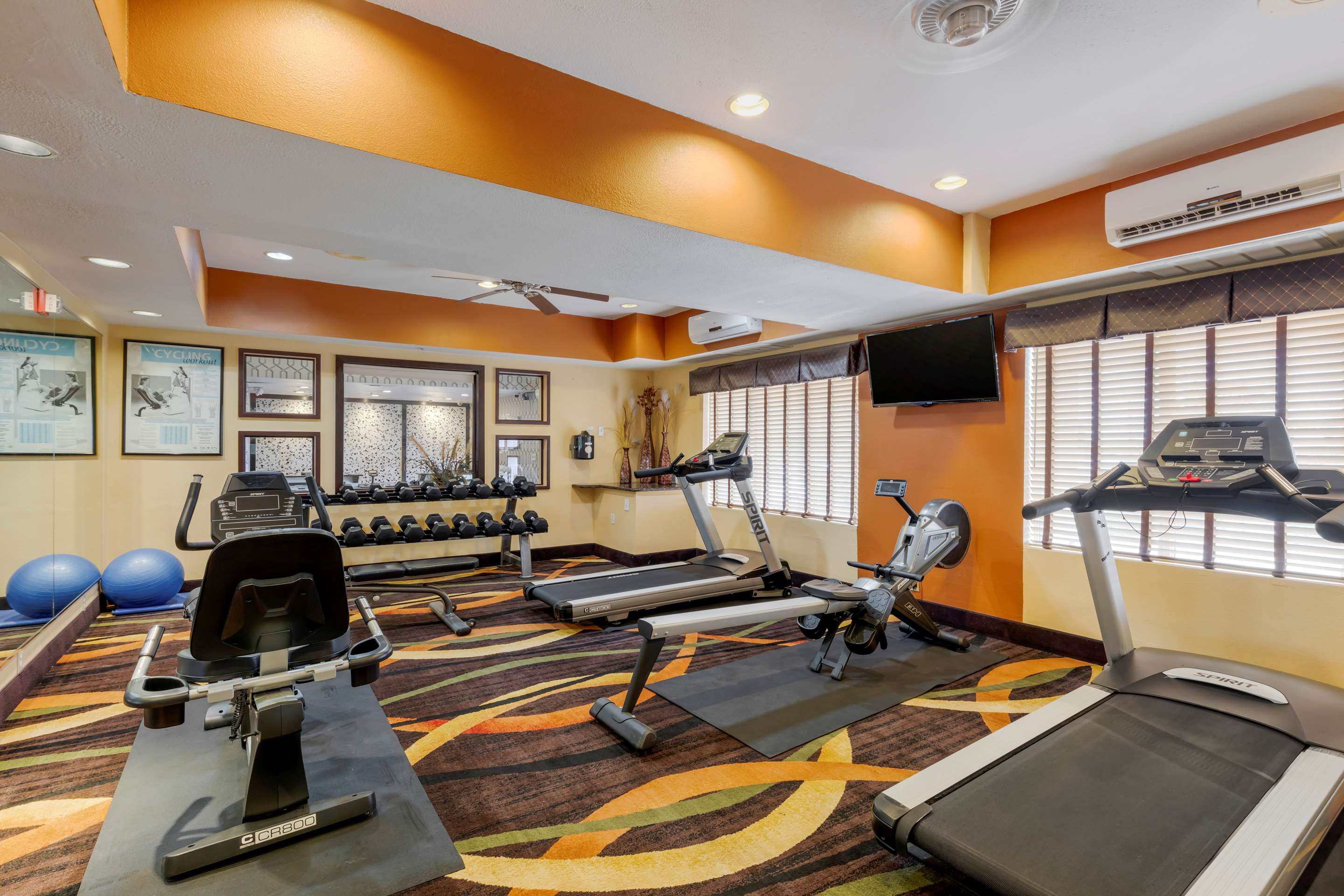 Gimnasio