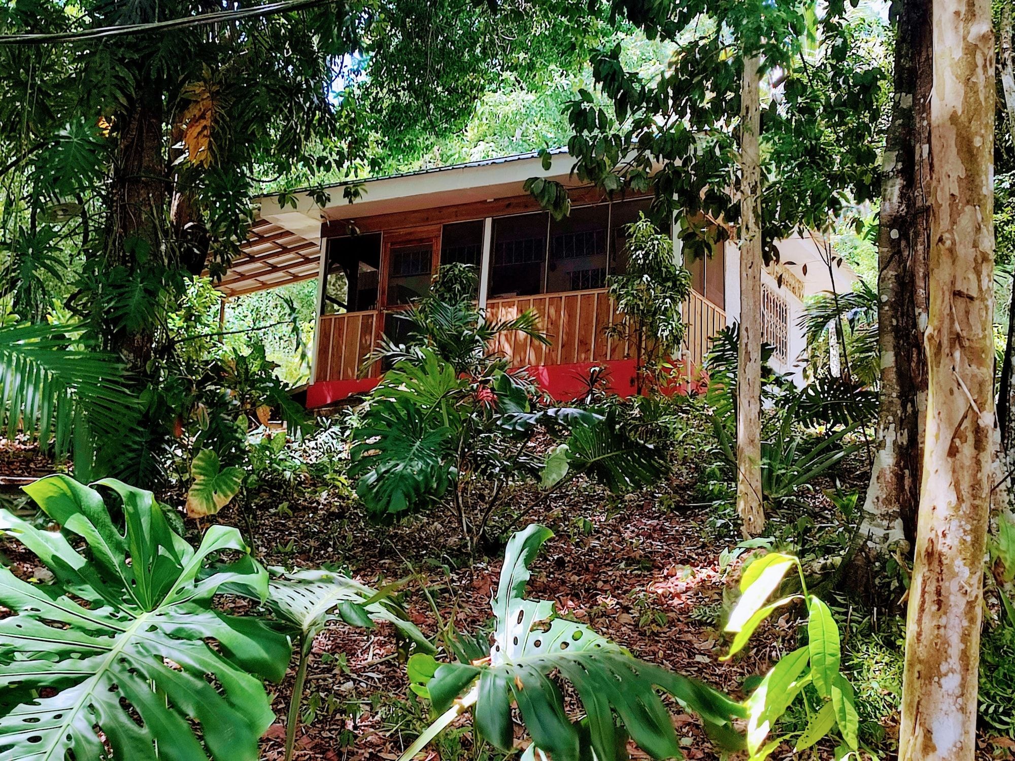 Vista del exterior