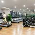 Gimnasio