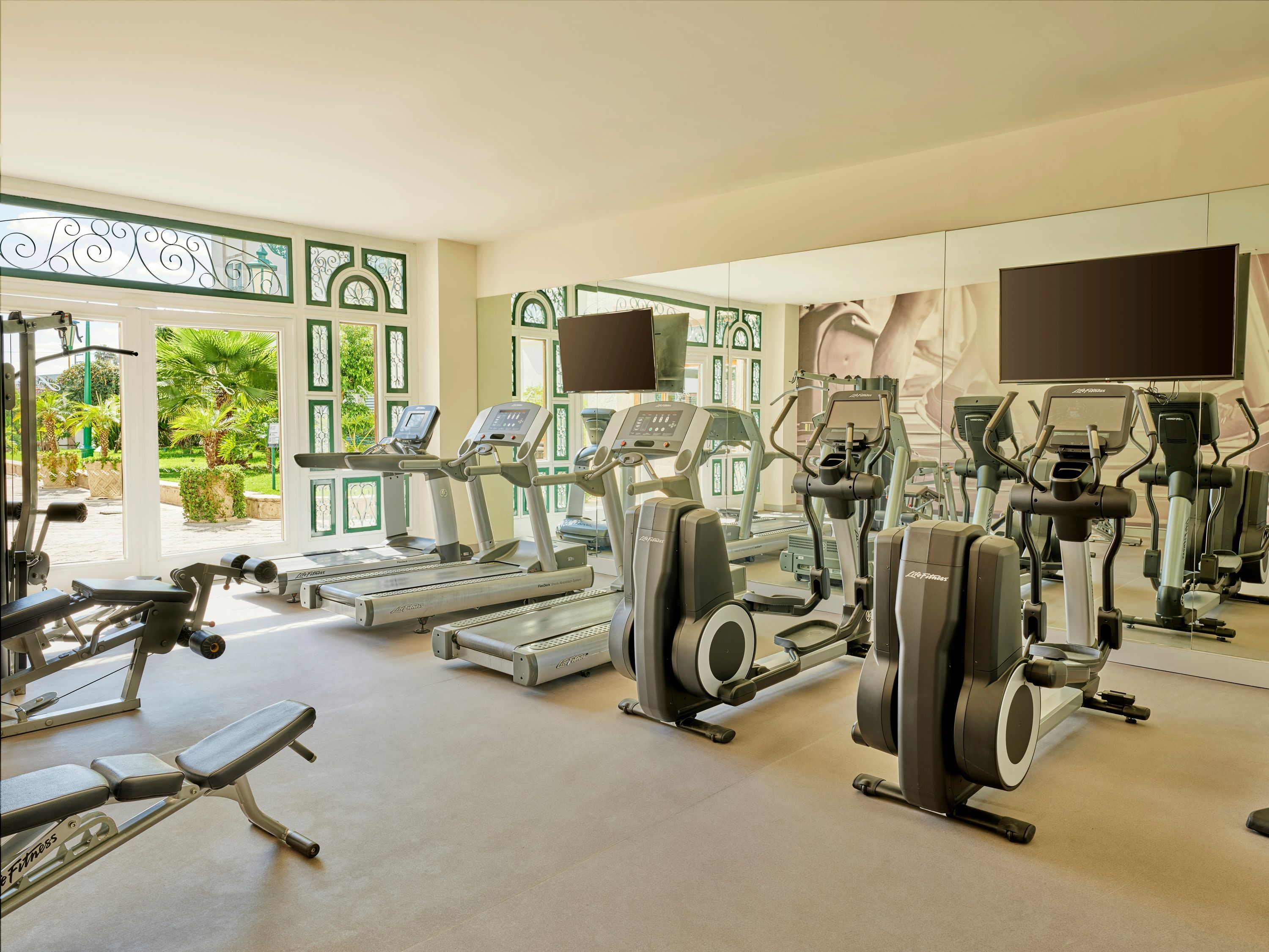 Gimnasio