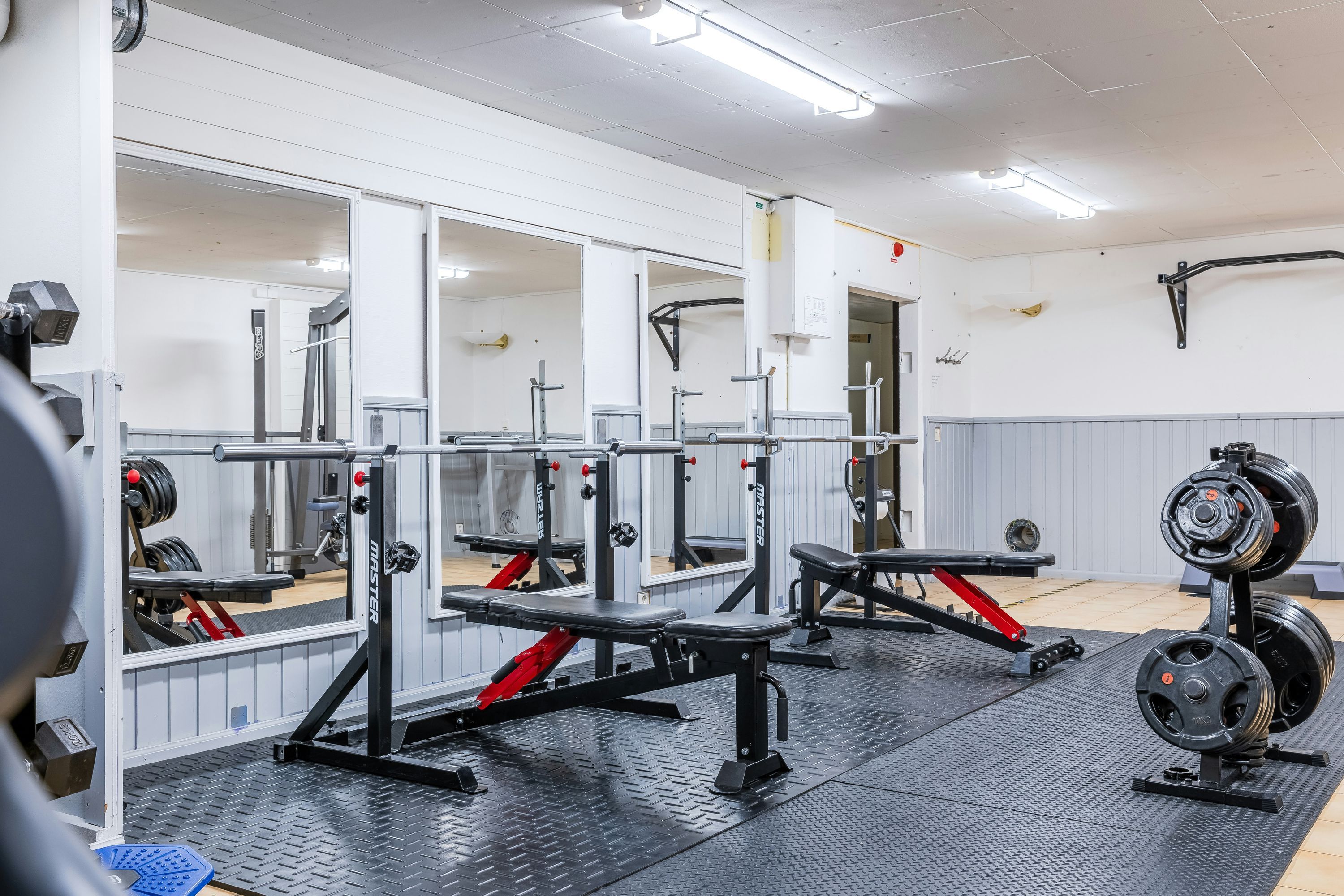Gimnasio