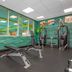 Gimnasio
