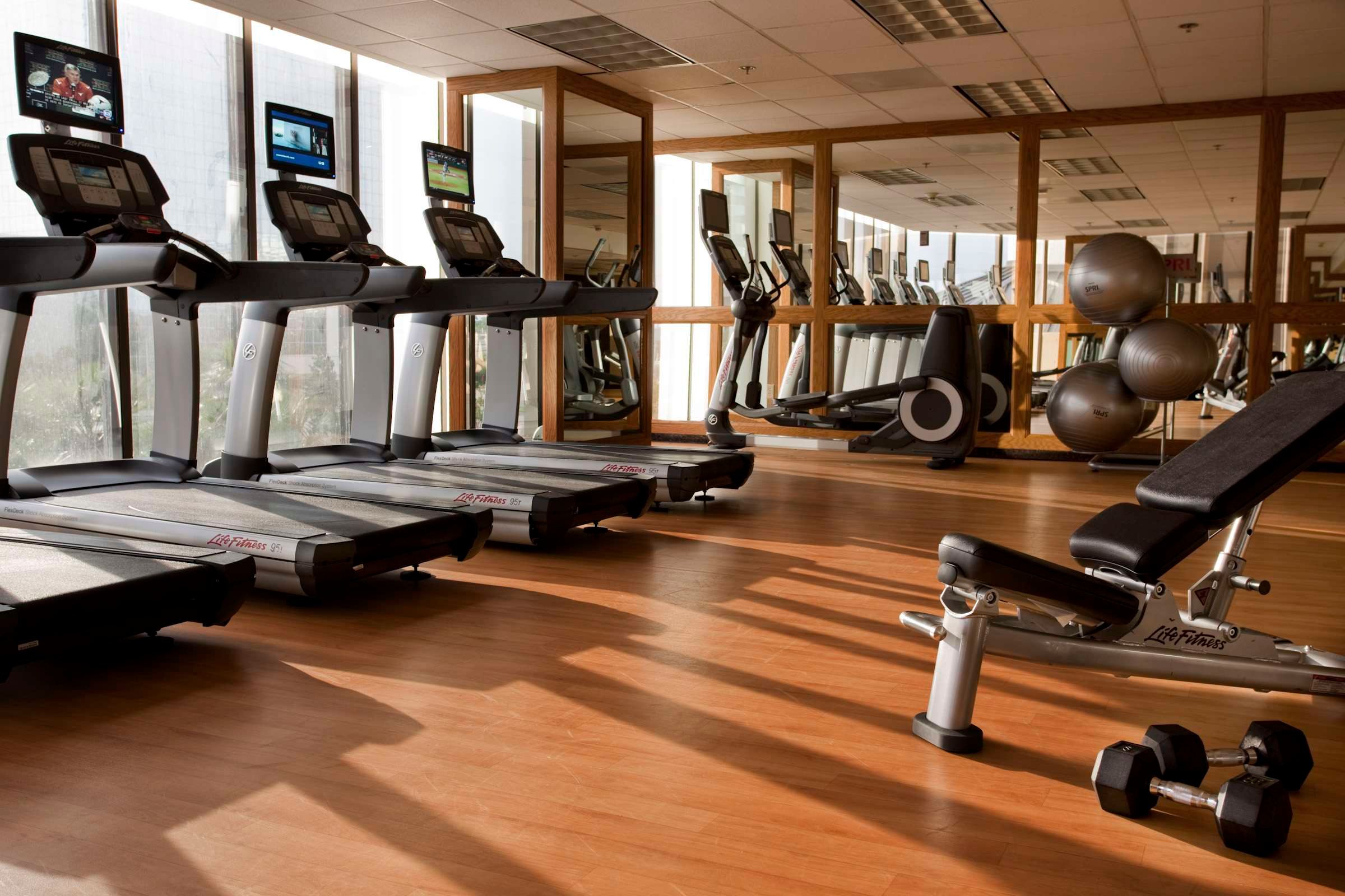 Gimnasio