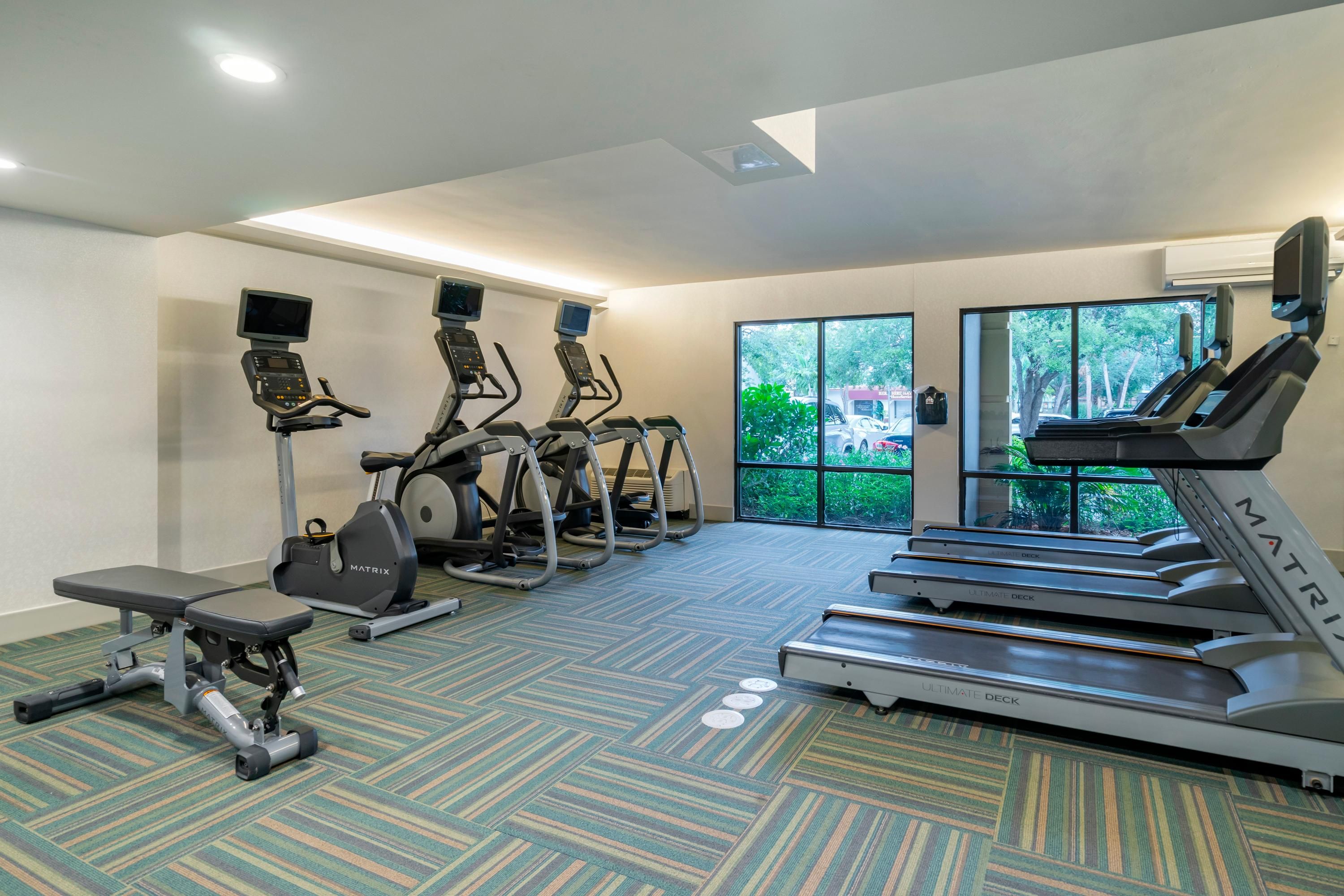 Gimnasio